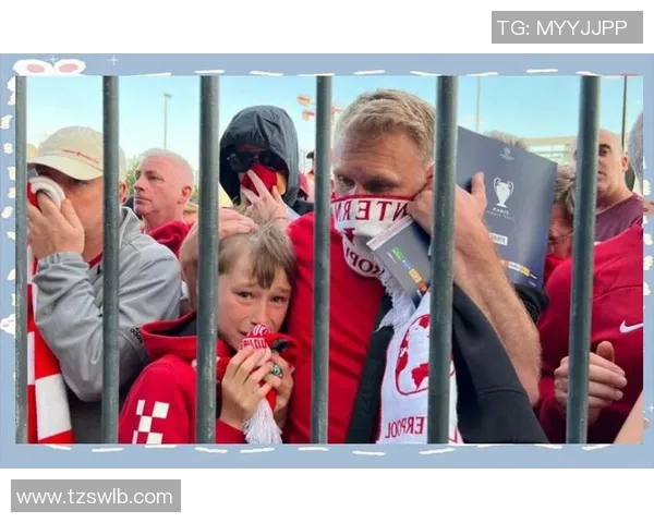 球迷假票事件调查