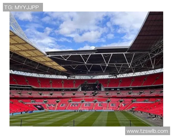 欧洲杯球迷文化与现场氛围互动研究