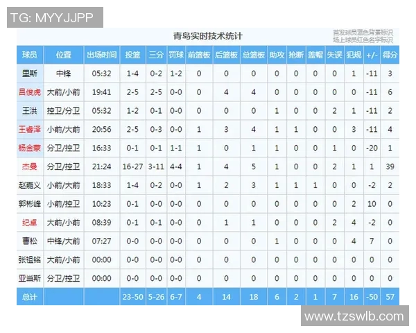 球员数据统计报告