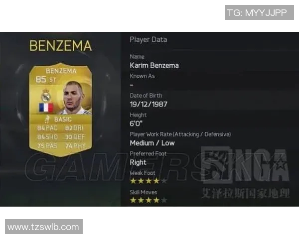 数据模型揭秘球星绯闻胜率分析结果背后的科学依据